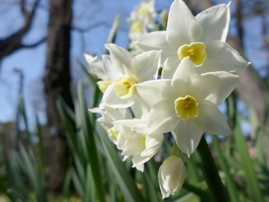 Jardín Botánico de Akatsuka